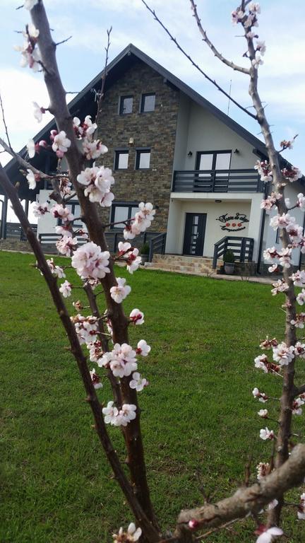 Hotel Pensiunea Agroturistica Floare De Camp Suceava Esterno foto